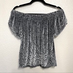 Hollister Off-the-Shoulder Velvet Top